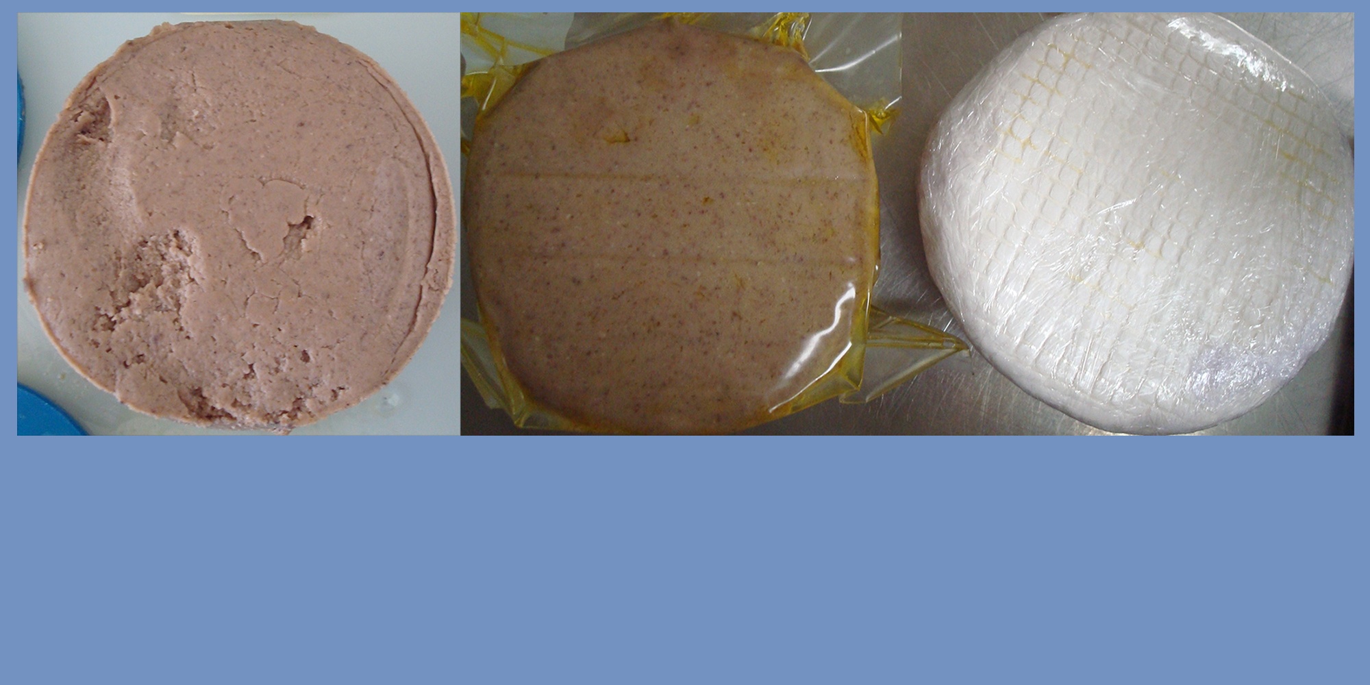 Caractérisation d’une alternative végétale aux fromages à base de matières premières suisses