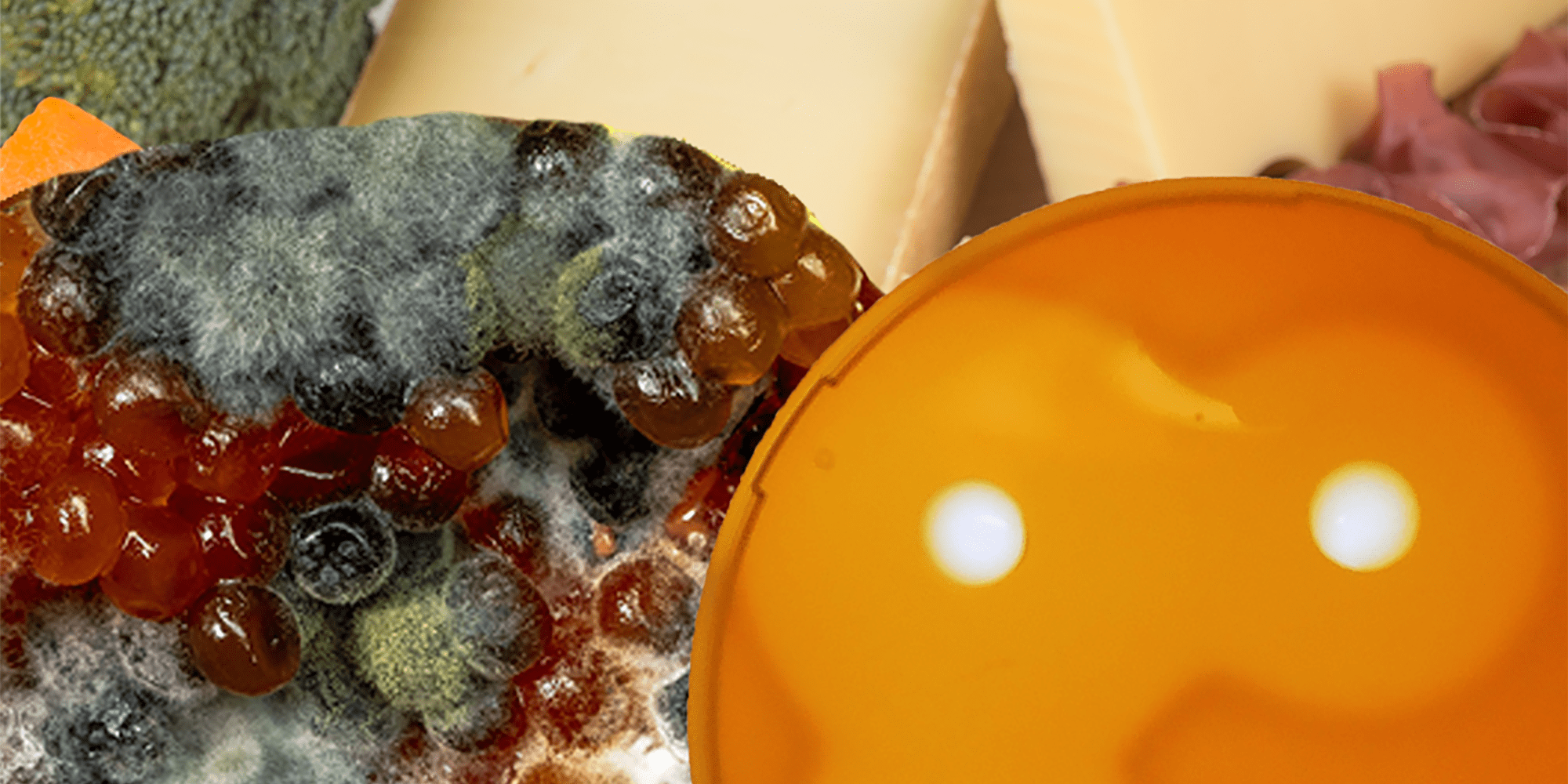 Biopréservation – le rôle oublié de la fermentation