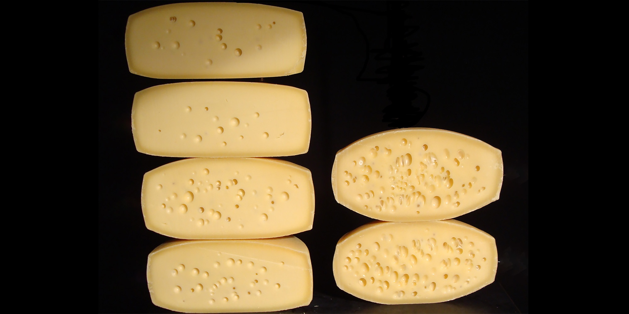Wie beeinflusst der Fettgehalt die Lochbildung im Käse?