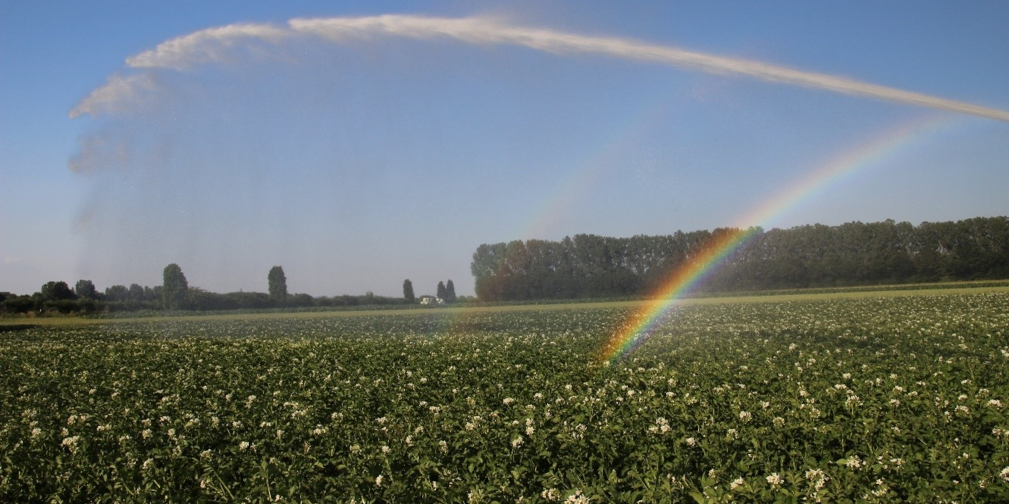 How Much Water Does the Swiss Agricultural Sector Need for Irrigation?
