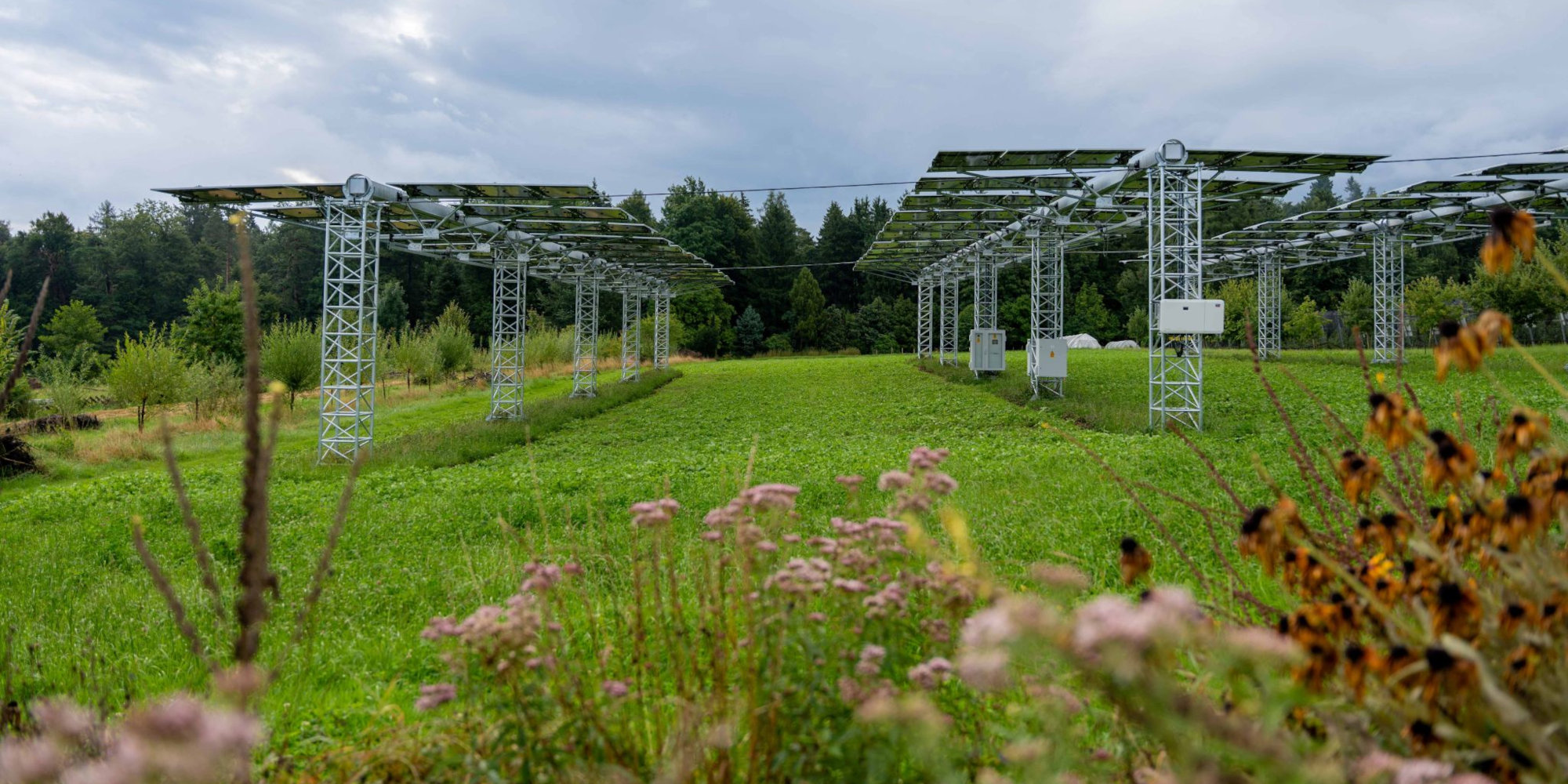 Agri-PV im Kanton Zürich: Ökonomische Potenziale nutzen, Risiken steuern